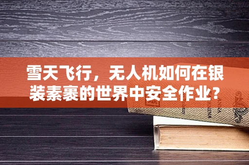 雪天飞行，无人机如何在银装素裹的世界中安全作业？
