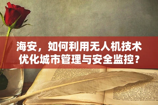 海安，如何利用无人机技术优化城市管理与安全监控？