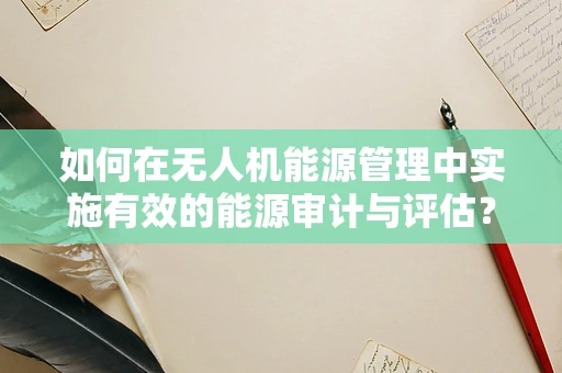 如何在无人机能源管理中实施有效的能源审计与评估？