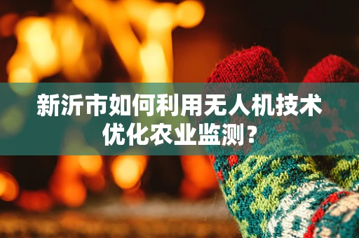 新沂市如何利用无人机技术优化农业监测？