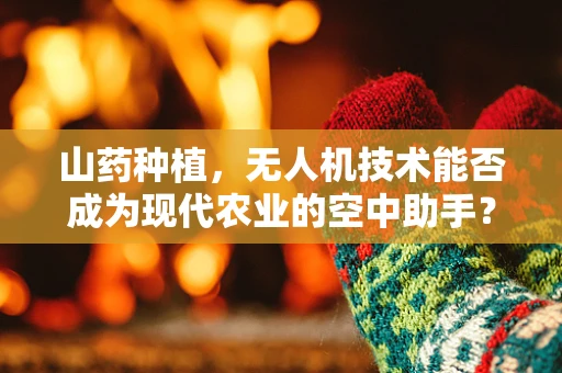 山药种植，无人机技术能否成为现代农业的空中助手？