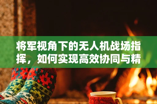 将军视角下的无人机战场指挥，如何实现高效协同与精准决策？