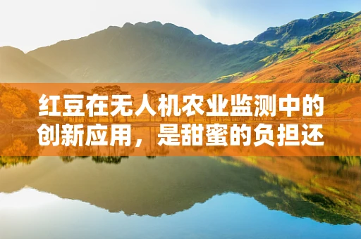 红豆在无人机农业监测中的创新应用，是甜蜜的负担还是科技新宠？