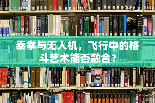 泰拳与无人机，飞行中的格斗艺术能否融合？