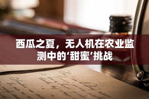 西瓜之夏，无人机在农业监测中的‘甜蜜’挑战