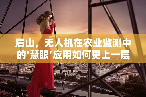 眉山，无人机在农业监测中的‘慧眼’应用如何更上一层楼？