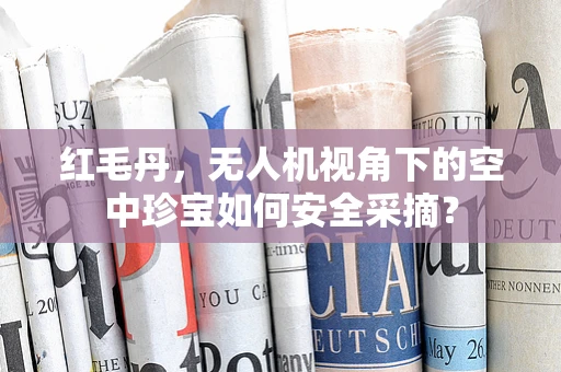 红毛丹，无人机视角下的空中珍宝如何安全采摘？