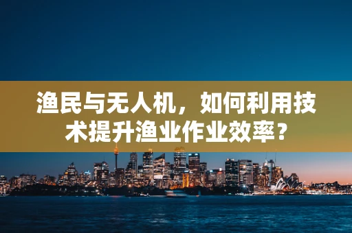 渔民与无人机，如何利用技术提升渔业作业效率？