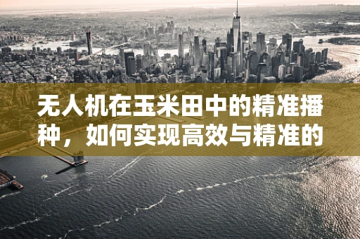 无人机在玉米田中的精准播种，如何实现高效与精准的双重飞跃？