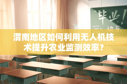 渭南地区如何利用无人机技术提升农业监测效率？