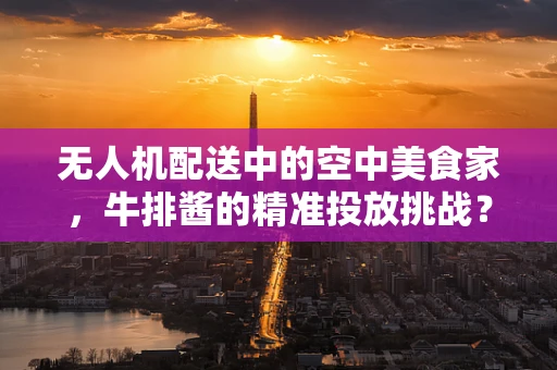 无人机配送中的空中美食家，牛排酱的精准投放挑战？