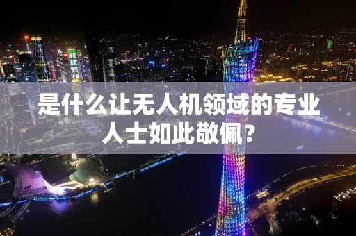 是什么让无人机领域的专业人士如此敬佩？