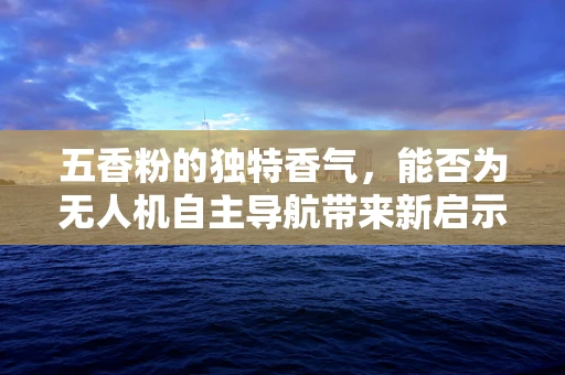 五香粉的独特香气，能否为无人机自主导航带来新启示？