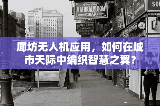 廊坊无人机应用，如何在城市天际中编织智慧之翼？