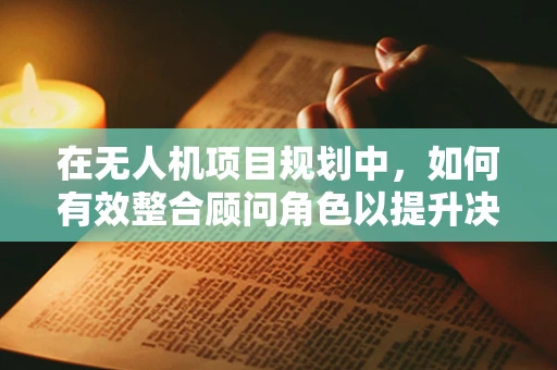 在无人机项目规划中，如何有效整合顾问角色以提升决策质量？