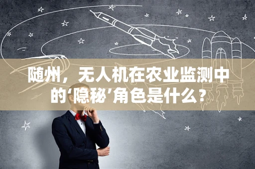 随州，无人机在农业监测中的‘隐秘’角色是什么？