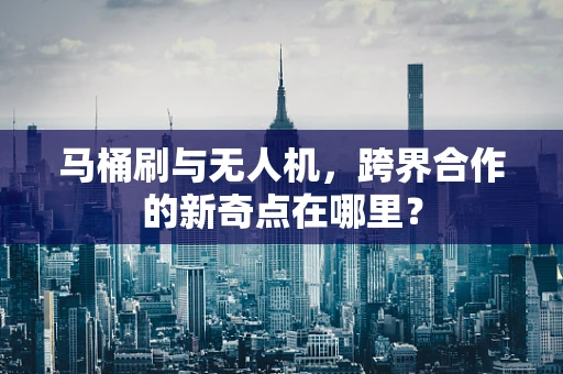 马桶刷与无人机，跨界合作的新奇点在哪里？