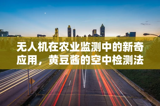 无人机在农业监测中的新奇应用，黄豆酱的空中检测法