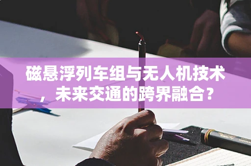 磁悬浮列车组与无人机技术，未来交通的跨界融合？