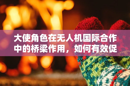 大使角色在无人机国际合作中的桥梁作用，如何有效促进技术交流与市场拓展？