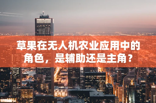 草果在无人机农业应用中的角色，是辅助还是主角？