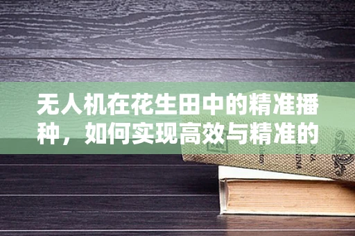无人机在花生田中的精准播种，如何实现高效与精准的双重飞跃？