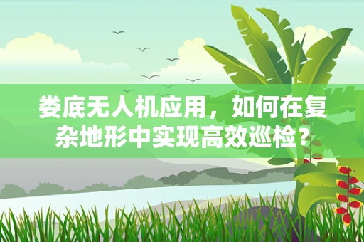 娄底无人机应用，如何在复杂地形中实现高效巡检？