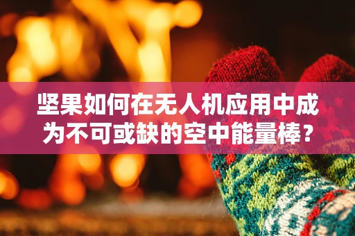 坚果如何在无人机应用中成为不可或缺的空中能量棒？