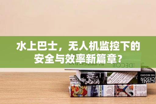 水上巴士，无人机监控下的安全与效率新篇章？