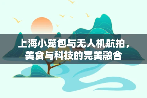 上海小笼包与无人机航拍，美食与科技的完美融合