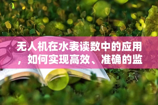 无人机在水表读数中的应用，如何实现高效、准确的监测？