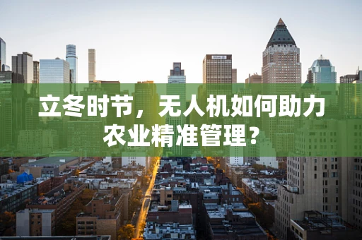 立冬时节，无人机如何助力农业精准管理？
