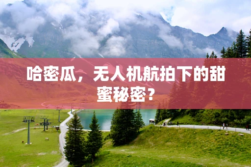 哈密瓜，无人机航拍下的甜蜜秘密？