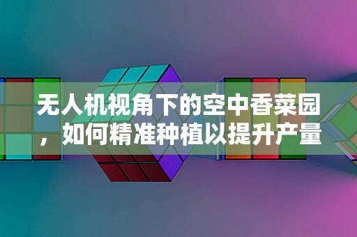 无人机视角下的空中香菜园，如何精准种植以提升产量？