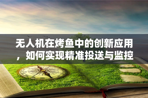 无人机在烤鱼中的创新应用，如何实现精准投送与监控？