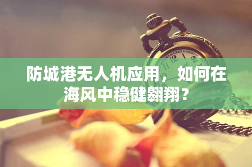 防城港无人机应用，如何在海风中稳健翱翔？