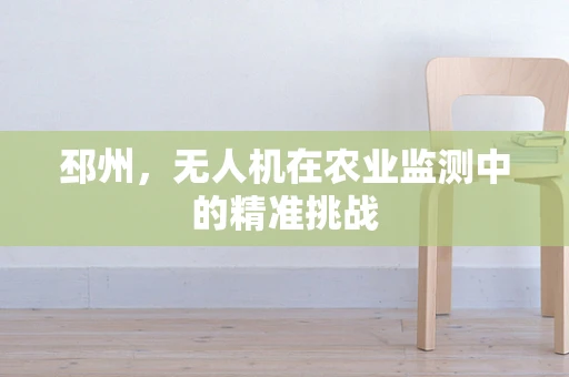 邳州，无人机在农业监测中的精准挑战