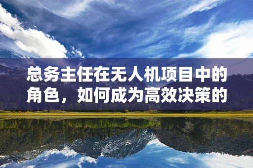 总务主任在无人机项目中的角色，如何成为高效决策的‘空中指挥’？