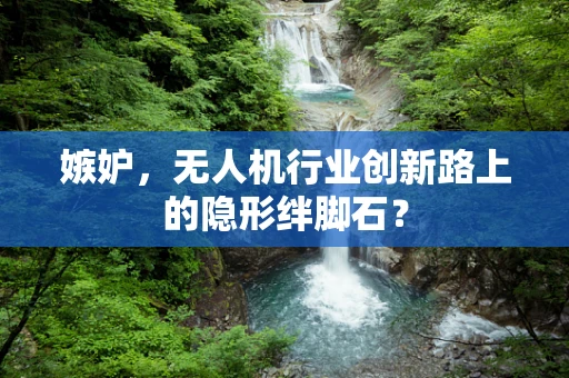 嫉妒，无人机行业创新路上的隐形绊脚石？