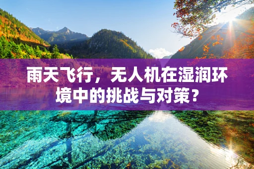 雨天飞行，无人机在湿润环境中的挑战与对策？