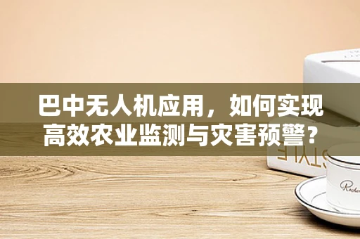 巴中无人机应用，如何实现高效农业监测与灾害预警？