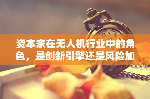 资本家在无人机行业中的角色，是创新引擎还是风险加速器？