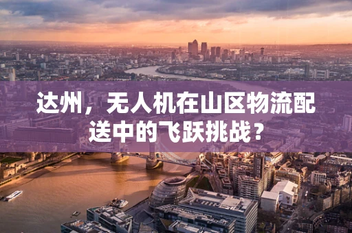 达州，无人机在山区物流配送中的飞跃挑战？
