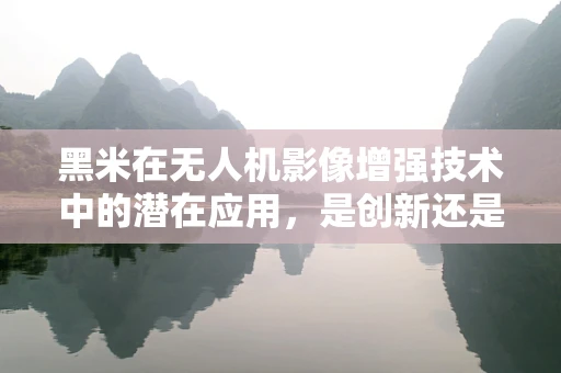 黑米在无人机影像增强技术中的潜在应用，是创新还是噱头？