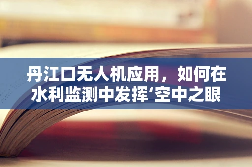 丹江口无人机应用，如何在水利监测中发挥‘空中之眼’的作用？