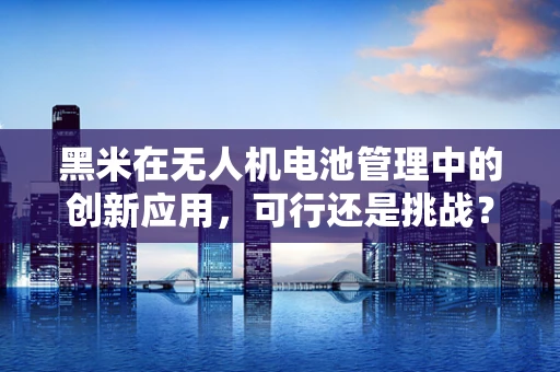 黑米在无人机电池管理中的创新应用，可行还是挑战？