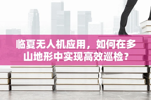 临夏无人机应用，如何在多山地形中实现高效巡检？