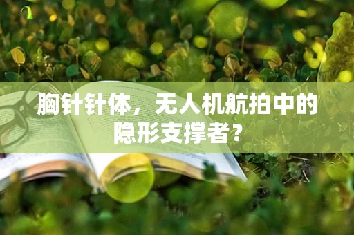 胸针针体，无人机航拍中的隐形支撑者？