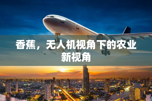 香蕉，无人机视角下的农业新视角
