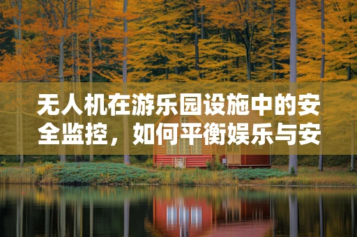 无人机在游乐园设施中的安全监控，如何平衡娱乐与安全？